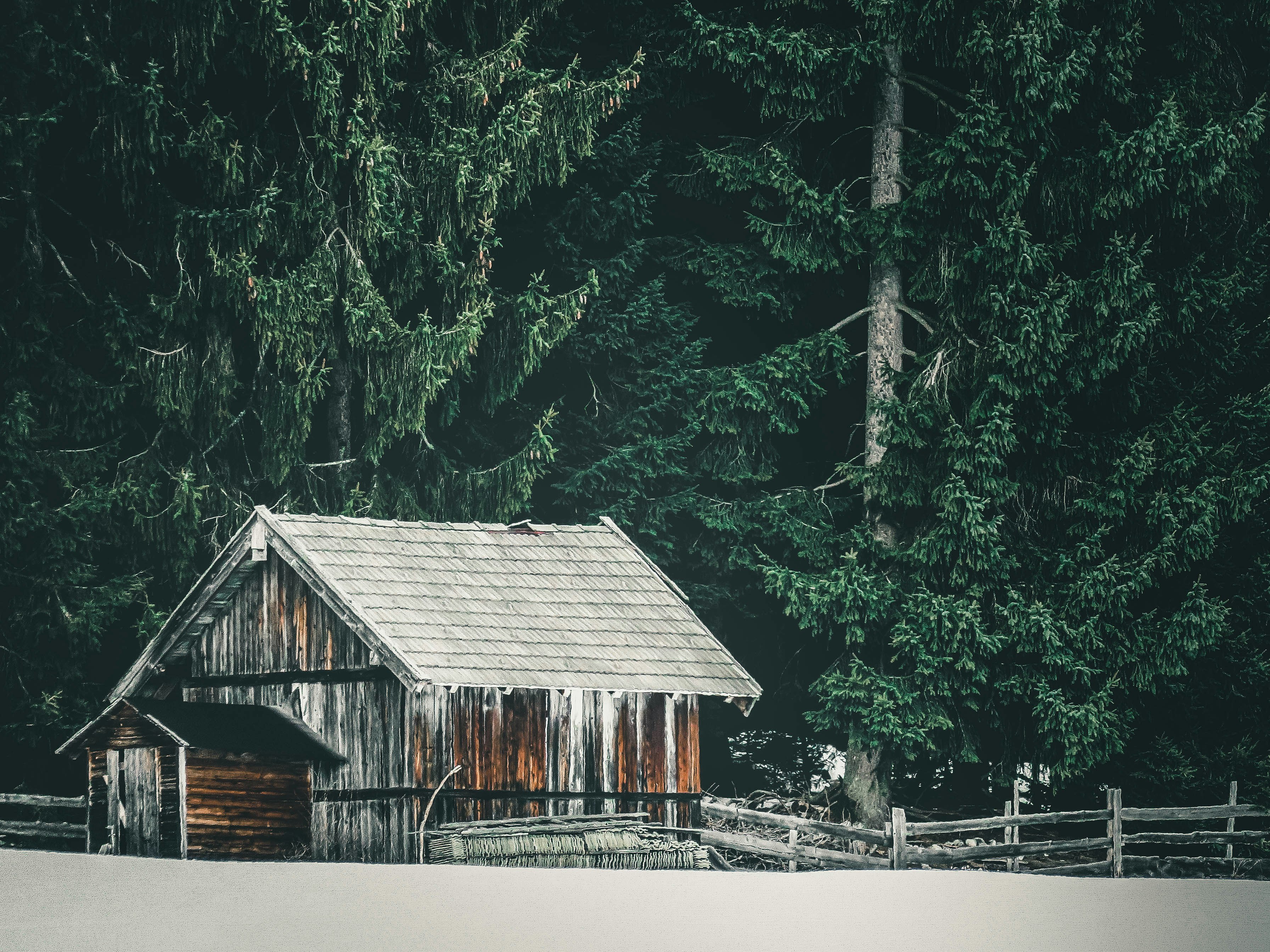 brown wooden house near green trees during daytime